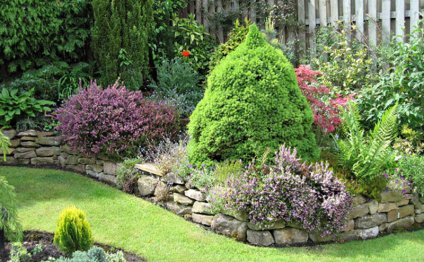 Фотогалерея