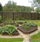 Декоративный огород Декоративный огород