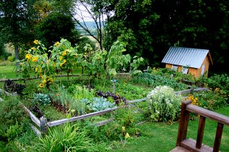 Декоративный огород на даче, фото сайта kvarfoto.
