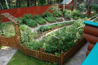 Декоративный огород с пряными растениями, фото сайта svoya-izba.ru
