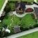 Landshaft Design For Delivery