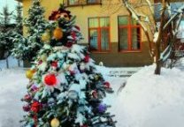 Декор зимнего сада оформление сада, новый год на даче, декор сада, сад зимой, Любимая дача
