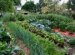 Gardens And Gardens