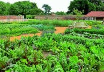 Проект огорода, ландшафтный дизайн, английскиий огород, овощной сад, журнал Любимая дача
