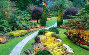 Landscape Design