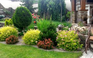 Landscape Design Of A Given Section With His Hands