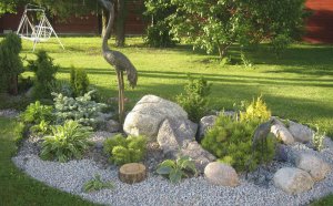 Landscape Design For Photos